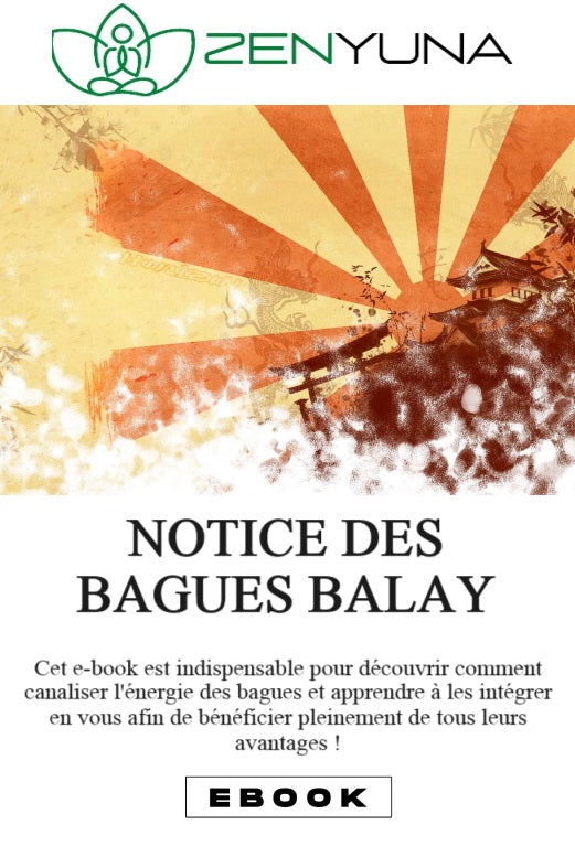 Notice secrète des bagues Balaÿ